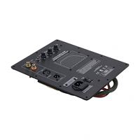 Plaque d'amplification pour subwoofer audiophile de cinéma maison, amplificateur de subwoofer Ethics Sound, puissance nominale 200W
