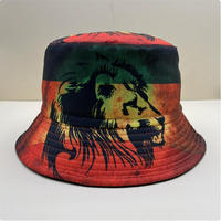 Sombrero de pescador de doble cara para exteriores con diseño de ubicación, estampado de león rasta y dibujos animados, estilo Panamá