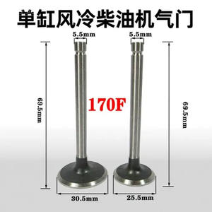 Pièces de générateur de puissance à moteur diesel refroidi par air 170F, mini motoculteur, tige de soupape de pompe à eau, soupapes d'admission et d'échappement de jardin, tappets - Product Image 2