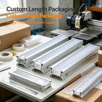 Profilé en aluminium extrudé 6063 de haute qualité pour éclairage linéaire LED avec diffuseur PC givré pour l'assemblage de bandes LED