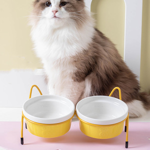 Cat Feeding Bowls Double Elevated Stainless Steel <b>Frame</b> For Cats Food And Water Bowl Set - Product Image 1