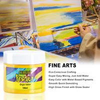 TIMESRUI 150G/Bouteille Poudre de Pigment Teintant Direct à Base d'Eau de Qualité Supérieure 12 Couleurs Non Toxique Inodore Respectueux de l'Environnement Jesmonite