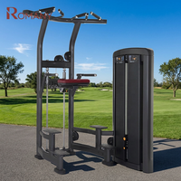 ROSEN Assist Dip Chin Machine - Construction en acier multifonctionnelle pour salle de sport commerciale, musculation et entraînement physique