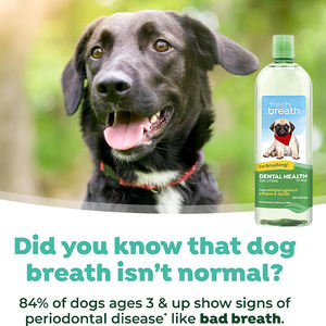 Fórmula de tratamiento para el cuidado dental de mascotas con etiqueta privada personalizada OEM, aditivo de agua para perros, champú desodorante, productos para el cuidado bucal de mascotas - Product Image 5