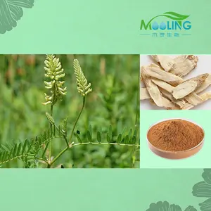 Factory Supply Pure Astragalus Root Extract Astragaloside IV 10% Astragalus Root Extract Powder