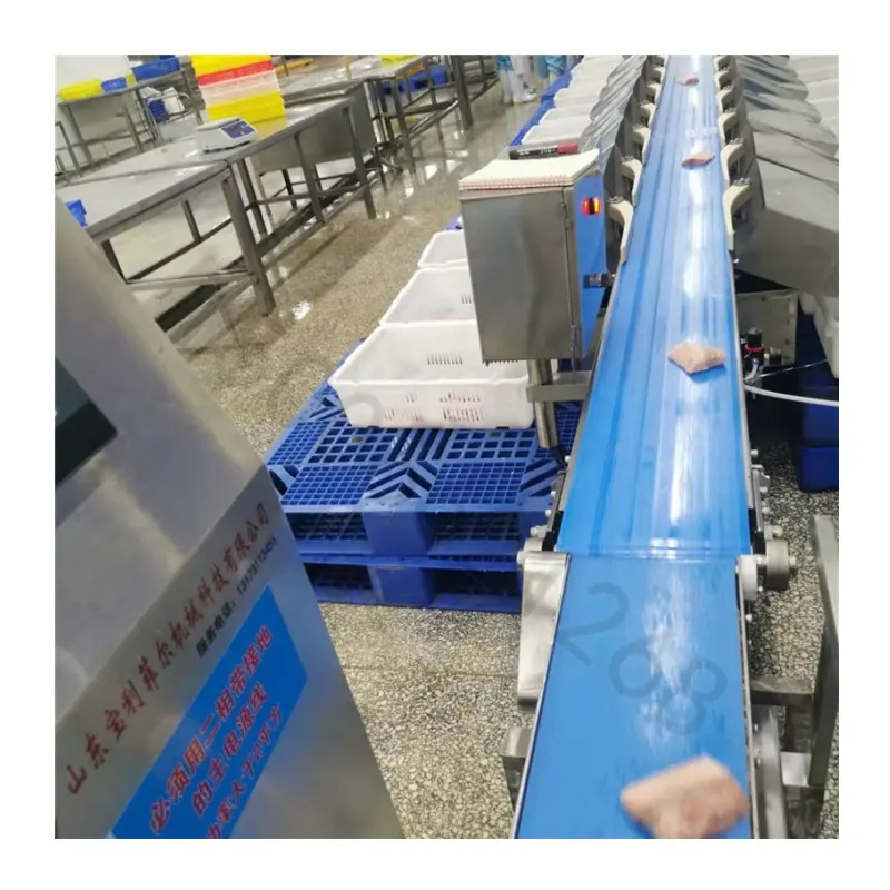 Triage de poids gradué personnalisé pour les machines de traitement des aliments de poisson de grande taille Machine de niveleuse de thon de type ceinture