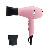 Sèche-cheveux professionnel 2200W à moteur AC, style tendance, le plus populaire, vente en gros, marque privée, avec technologie céramique pour salon et usage domestique