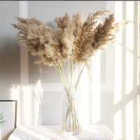 Herbe de la Pampa en Gros pour Décoration de Mariage, Fleur Immortelle, Accessoires de Photographie, Grande Herbe de la Pampa