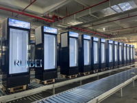 Réfrigérateur et congélateur commercial vertical en verre pour supermarché, vitrine à porte unique, congélateur à crème glacée