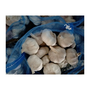 Trung Quốc Xuất Khẩu Cung Cấp Chất Lượng Cao Tươi Tỏi Đen Số Lượng Lớn Tỏi Tươi Nhà Sản Xuất 4.5Cm Màu Trắng Tinh Khiết Số Lượng Lớn Tỏi Để Bán - Product Image 3