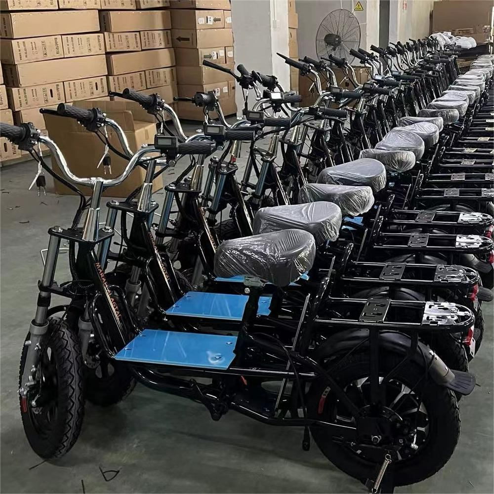 Les cadres OEM n'incluent pas les piles