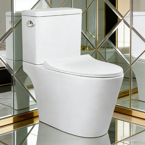 Inodoro de Descarga de Aguas Residuales de Gran Capacidad con Fuerte Flujo, Venta al por Mayor de Fábrica, Excelente Calidad - Product Image 3