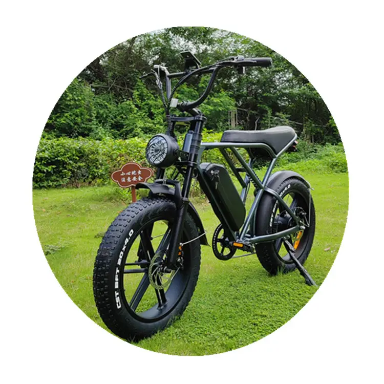 HTOMT DOC EN15194 250W hızlı elektrikli bisikletler fiets accessofull ouxi tam süspansiyon ile