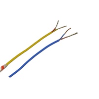 MICC Typ K Hitzebeständiges Glasfaser-Geflecht Edelstahl-Abschirmung Thermoelement-Verlängerungskabel Premium Elektrokabel