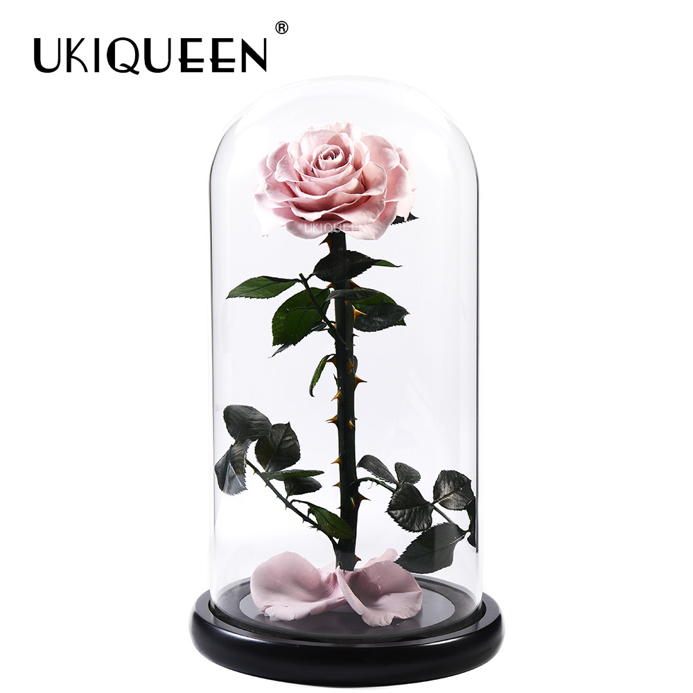 08 kaki rose