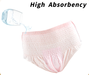 عينة مجانية من Insoftb وصلت حديثًا بالجملة سراويل داخلية قطنية لفترة تنفس يمكن التخلص منها سراويل داخلية لفترة - Product Image 6