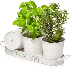 Vasos para plantar e bandeja caddy 2 balde com alças, grande plantador de vidro para suculentas/ervas/metal galvanizado