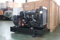 Groupe électrogène diesel silencieux Shangchai durable 16 kW 20 kVA monophasé/triphasé 50/60 Hz pour maison, ferme, clinique, télécommunications et situations d'urgence
