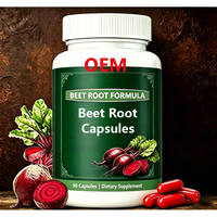 Capsules de poudre de betterave à usage OEM, certifiées GMP, supplément nutritionnel à base de racine de betterave, 60/90/120 capsules