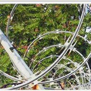 <span class=keywords><strong>Alambre</strong></span> de Púas Galvanizado por Inmersión en Caliente BTO22 CBT65 / <span class=keywords><strong>Alambre</strong></span> de Púas en Espiral para Seguridad Exterior - Product Image 6