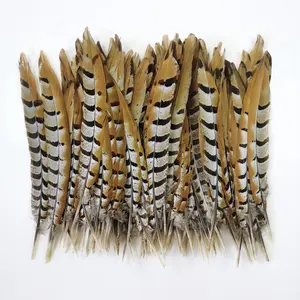 Plumas de faisán, cola de Venero, Reeves Natural corta de 12-14 pulgadas, venta al por mayor (a granel)