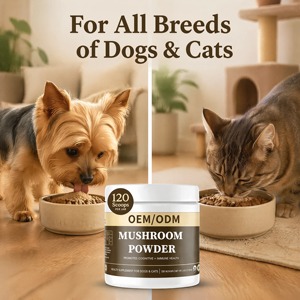 Mezcla de Hongos Orgánicos Patentada OEM para Perros y Gatos, Apoyo Inmunológico, Salud Cognitiva, Suplemento en Polvo de Rápida Absorción - Product Image 3