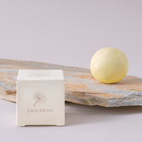 ERIGERON All-in-One Vegan Beauty Ball - Citron Nueva llegada Venta caliente Hecho en Corea Producto al por mayor