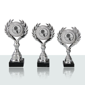 Coppa di Pallavolo Aaron 28 cm - Product Image 1