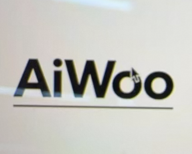 Fujian Quanzhou Aiwoo Window Decoration Co., Ltd. logo
