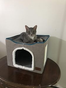 Groothandel Anti-Slip Effen Patroon Opvouwbare Kat Condos Ronde Pluizige Pluche Grote Katten Huisdieren Bedden In Nepbont Voor Katten Binnenshuis - Product Image 4