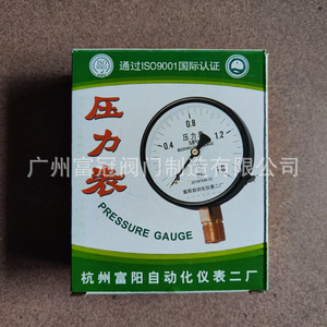 Fábrica de Instrumentos de Automatización de Hangzhou Fuyang No. Manómetro 2 Y100 0-1.6 Mpa para uso en agua, aceite e hidráulica - Product Image 5