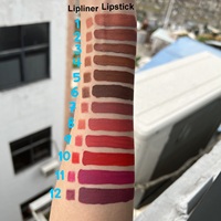 Kit de maquillage pour les lèvres personnalisé en marque privée, vente en gros OEM, ensemble de 12 couleurs de rouge à lèvres avec crayon à lèvres, rouge à lèvres liquide mat imperméable