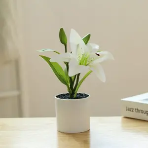 Maceta Pequeña <span class=keywords><strong>de</strong></span> Plástico Blanca <span class=keywords><strong>de</strong></span> Alta Calidad con Flor Artificial <span class=keywords><strong>de</strong></span> Lirio <span class=keywords><strong>Cala</strong></span> Oriental para Graduación - Product Image 4