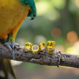 2025 üretim-doğrudan yüksek Qulaiyt 8mm altın düz alüminyum yüzükler özelleştirilmiş güvercin yüzükler kuş tasmaları papağan bacak aksesuarları - Product Image 3