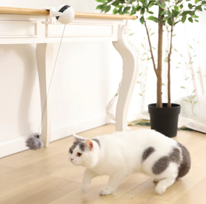 उठाने बिल्ली गेंद खिलौना बिजली इंटरैक्टिव पहेली स्वचालित स्मार्ट पालतू बिल्ली गेंद चिढ़ाने खिलौने पालतू बिजली की आपूर्ति उठाने बिल्लियों गेंदों - Product Image 6