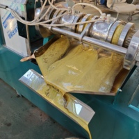 Prensa de Aceite Automática BK6LY-100-H, 150-200kg/h, Alto Rendimiento, Prensado en Frío y Caliente para Coco, Soja y Sésamo
