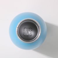 Botella de Agua con Aislamiento Térmico de Doble Pared de Acero Inoxidable, a Prueba de Fugas, con Forma de Cola, para Viajes, con Logotipo Grabado con Láser