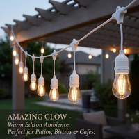 Extérieur Étanche IP65 S14 A60 15m 15 Lampes Blanc Guirlande Lumineuse Terrasse Noël Éclairage Pin Câble Décor Jardin Lumières