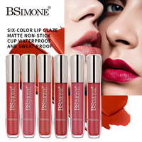 Rossetto Liquido Opaco a Due Strati, Impermeabile, Non Appiccicoso, Idratante, 6 Tonalità, OEM ODM, Etichetta Privata, Logo Personalizzato, Vendita all'Ingrosso