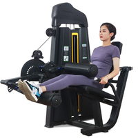 Machine professionnelle à charges guidées pour extensions et flexions des jambes – Équipement de musculation de haute qualité pour salle de sport
