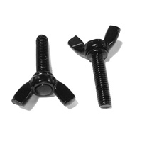 M5 M8 ASTM A325 A307 GR2 GR5 acier galvanisé oxyde noir électrophorèse ZP bord papillon aile machine vis à filetage DIN318