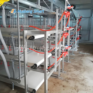 Broiler için tam otomatik gübre çıkarma sistemi tavuk kümesi H tipi tavuk kafesi - Product Image 4