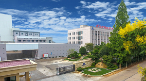 Negro ácido 194/Tintes para productos de cuero/incluso tonos negros de color/Color estable, no es fácil de desvanecer/ - Product Image 5