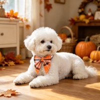 Collier pour chien Tanpopo avec nœud papillon, collier pour animal de compagnie à carreaux orange réglable pour Halloween et Thanksgiving