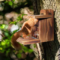 Accessoire de décoration de maison d'alimentation d'écureuil en bois