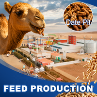 RICHI Proyecto de Fábrica de Producción de Pienso Compuesto para Camellos y Cabras, Adecuado para Residuos de Nuez de Dátil en Arabia Saudita