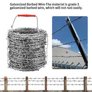 उच्च तन्यता गर्म डुबकी गैल्वेनाइज्ड एंटी-जंग आसान स्थापना बार्बेड वायर रोल 2-4 मिमी तार खेत डबल स्ट्रैंड्स - Product Image 2