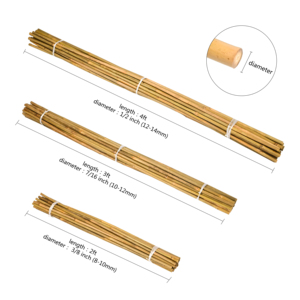 Bienvenido a <span class=keywords><strong>comprar</strong></span> postes <span class=keywords><strong>de</strong></span> bambú rectos <span class=keywords><strong>de</strong></span> Fujian para su granja - Product Image 2