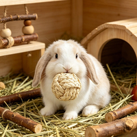 Jouet pour chat et chien AROMA en corde de coton écologique avec nœud en maïs, pour usage intérieur/extérieur