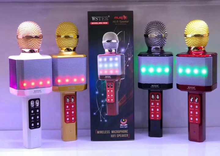 WS1828 WSTER Support USB TF CARD FM RADIO With Disco Light Wireless Karaoke  Mic Recording Microphone| Alibaba.com